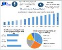 System in Package Market Growth Analysis, Industry Trends and Future Prospects