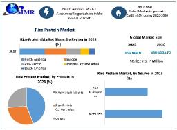 Rice Protein Market Overview and Regional Insights