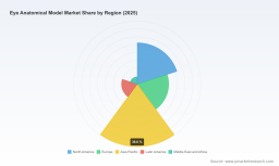 PW Consulting: Eye Anatomical Model Market Hits $355.74M in 2025, Projected 6.05% CAGR to 2032