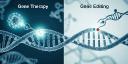 Gene Therapy Market: Transforming the Future of Precision Medicine