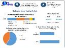 Dedicated Server Hosting Market to 2030 Accelerates with Demand for Enhanced Data Control