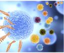 Single Cell Omics Market: Unlocking the Future of Precision Medicine
