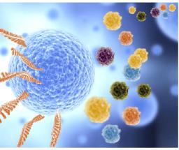 Single Cell Omics Market: Unlocking the Future of Precision Medicine