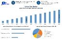 Cumene Market Recent Developments and Emerging Growth Opportunities