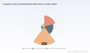 PW Consulting: Holographic Anti-Counterfeiting Market to Reach $985M by 2032, Growing at 4.0% CAGR
