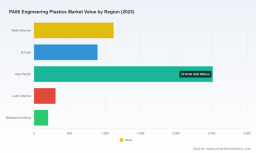 PA66 Engineering Plastics Market: Automotive Demand&rsquo;s 2.4% CAGR Trajectory Beyond 2026