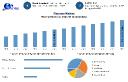 Fluorene Market: Revenue Growth, Trends, and Forecast to 2032