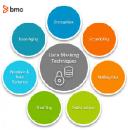 Data Masking Market: Trends, Growth, and Future Outlook