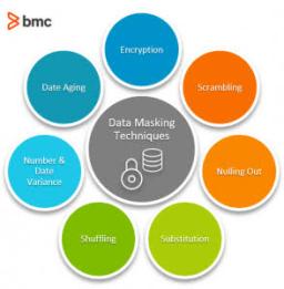 Data Masking Market: Trends, Growth, and Future Outlook