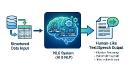 Natural Language Generation Market: Trends, Growth and Future Outlook