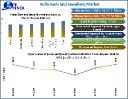 India Gem and Jewellery Market Set to Reach USD 133.96 Billion by 2030