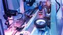 Automated Optical Metrology Market: Advancing High-Precision Inspection and Measurement