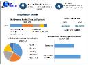 Molybdenum Market Trends for 2030: Expected CAGR of 2%