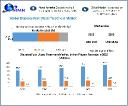 Diabetes Foot Ulcers Treatment Market 2030: Factors Fueling the Growth of Treatment Solutions