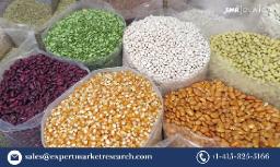 Philippines Seeds Market: Trends, Growth, Opportunities, and Challenges (2023-2032)