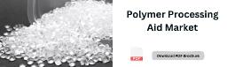 Navigating Challenges: Raw Material Costs and Regulations in Polymer Processing Aid Market