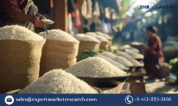 Rice Market: Insights and Growth Forecast