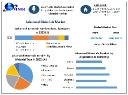 Advanced Materials Market Size, Share, Revenue, and Statistics Overview 2024-2030