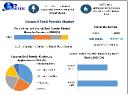 Coconut Shell Powder Market Size, Share, and Regional Insights 2024-2030