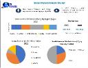 Maternal Health Market Opportunities Industry Trends, Revenue Growth And Regional Share