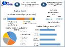 Naphtha Market Analysis, Regional Insights and Competitive Landscape