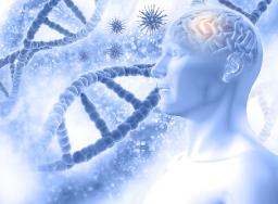 The Future of Global Cerebroprotein Hydrolysate Market: Key Players & Innovation with Forecast 2025-2033