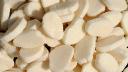 Chloroprene Rubber Market: Regional Dynamics and Key Players