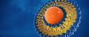 Liposomal Doxorubicin Market: Size, Share, Trends, and Growth
