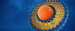 Liposomal Doxorubicin Market: Size, Share, Trends, and Growth
