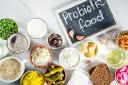 Comprehensive Report on the Molded Plastics Market