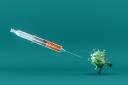 Vaccines Market Outlook: A Comprehensive Analysis by 2031