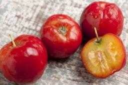 Acerola Extract Market: Key Challenges and Inhibitors Impacting Global Growth and Expansion in Today&rsquo;s Economy