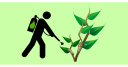 Biopesticides Market Growth Driven by Rising Demand for Sustainable and Environmentally Friendly Crop Protection Solutions