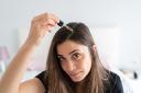 Hair Thickener Serum Market Investment Opportunities and Risk Factors