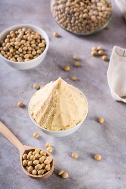 Soy Protein Concentrate Market Growth: Trends, Drivers, and Future Opportunities Unveiled
