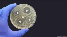 Antimicrobial Polymer Films Market Resilience in Post-Pandemic Recovery