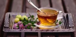 Beverage Botanical Extracts Market Product Segmentation: Importance of Herbal and Fruit Extracts in Growth