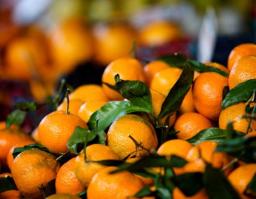 Citrus Fiber Market Product Segmentation: Importance of Powder and Granule Forms