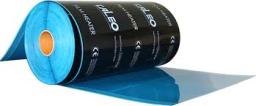 Global CNT Heating Film Market Report: Trends, Opportunities, and Forecast 2025-2031