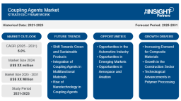 Reviling the Coupling Agents Market: Growth Strategies, Key Players, and Main Segments