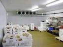 Walk-in Cooler and Freezer Market Investment Opportunities in Cold Chain Logistics