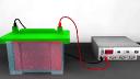 Western Blotting Processors Market Grows as Academic Institutions Adopt Modern Lab Automation Technologies