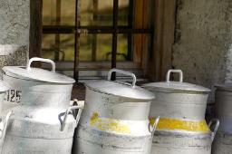Dairy Container Market Competition Analysis Shows Impact of Innovation and Cost Leadership Dynamics
