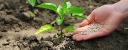 Foliar Fertilizers Market Scenario Transforms with Rising Demand for Organic and Bio-Based Fertilizer Alternatives Globally