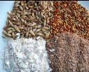 Feed Enzymes Market: Scope, Growth Trends, Applications, Opportunities, Challenges, Innovations, and Regional Insights