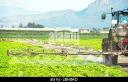 Agricultural Fumigant Market Undergoes Transformation With Precision Agriculture Integration