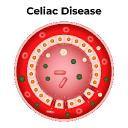 Autologous Cell Therapy Market Facing Global Barriers to Scalable Clinical Adoption