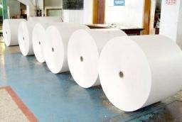 Woodfree Paper Market Benefits from Eco-Friendly Certifications and Shifts Away From Traditional Pulp Methods