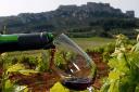 Organic Wine Market Landscape Shaped by Sustainability, Premiumization, Consumer Shifts, and Global Retail Expansion