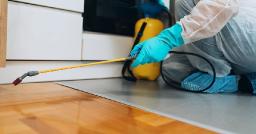 Pest Control Market Landscape Evolving Through Urbanization, Green Practices, and Technology Integration Worldwide